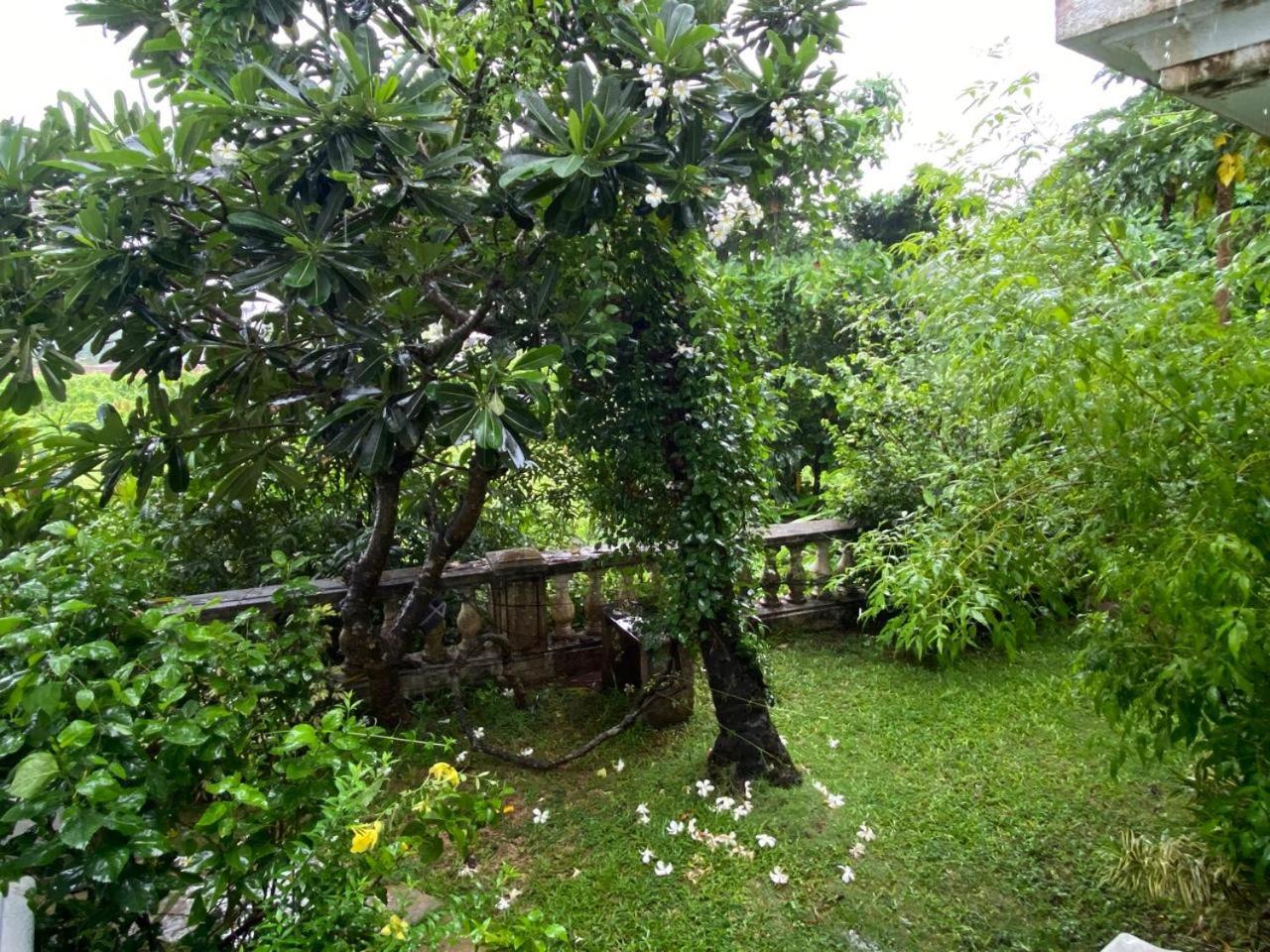 Villa Nostalgia - A Luxurious Villa In North Goa 阿伯来 外观 照片